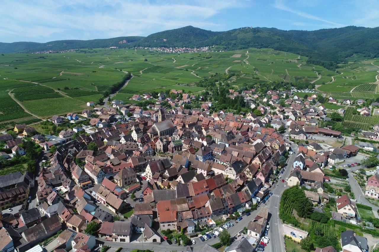 Gites Au Chateau Fleuri Егісайм Номер фото